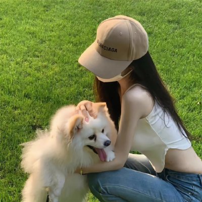 网中的太阳